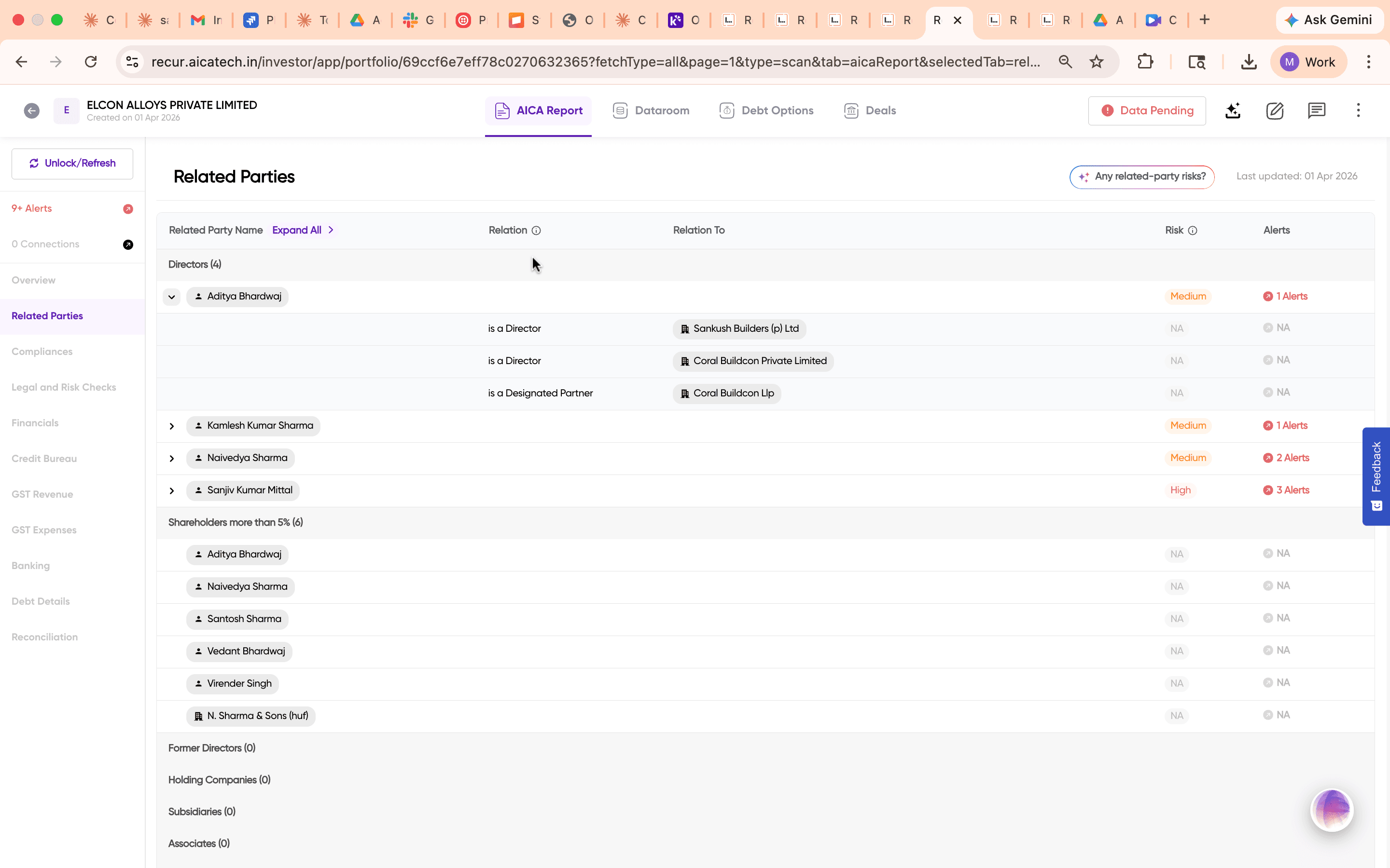 Related Parties section showing directors with expandable rows, risk severity, and alerts